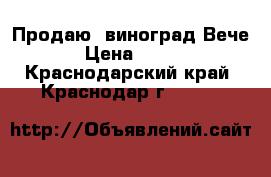 Продаю  виноград Вече › Цена ­ 200 - Краснодарский край, Краснодар г.  »    